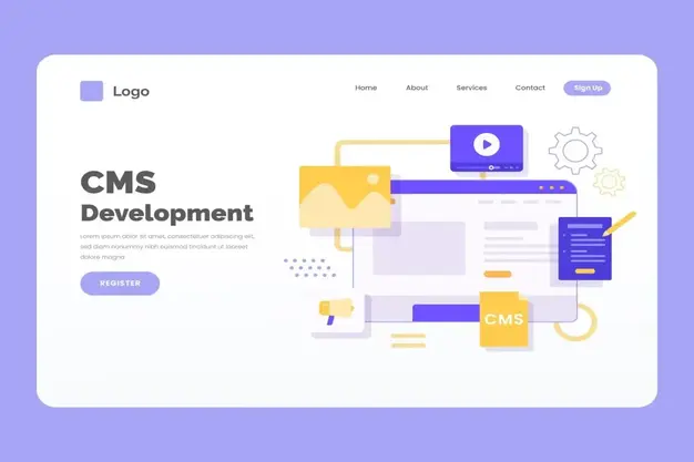 Cms Development