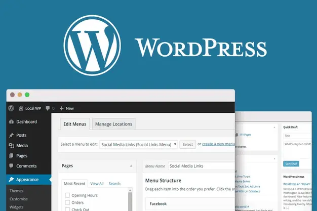 WordPress Website
